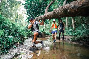 BIB: 
                            <button type="button" onclick="openModal(25368785)" class="btn btn-primary btn-sm float-right btn-popup" data-toggle="modal" data-target=".modal-high-quality">
                        <i class="fas fa-shopping-cart"></i> Add to Cart
                    </button>
                                            <button type="button" onclick="isThisMe(25368785, true)" class="btn btn-success btn-sm float-right btn-popup btn-isme hidden" data-toggle="tooltip" data-placement="bottom" title="นี่คือรูปของคุณใช่ไหม คลิกที่นี่เพื่อเอาเข้าอัลบั้ม">
                        <i class="fas fa-plus"></i> Add to album
                    </button>
                    <button type="button" onclick="isThisMe(25368785, false)" class="btn btn-warning btn-sm float-right btn-popup btn-isnotme hidden">
                        <i class="fas fa-ban"></i> Remove from album
                    </button>